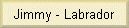Jimmy - Labrador