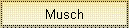 Musch